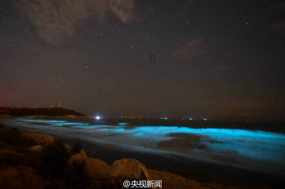 中国队夺速度滑冰世界杯盐湖城站混合接力金牌