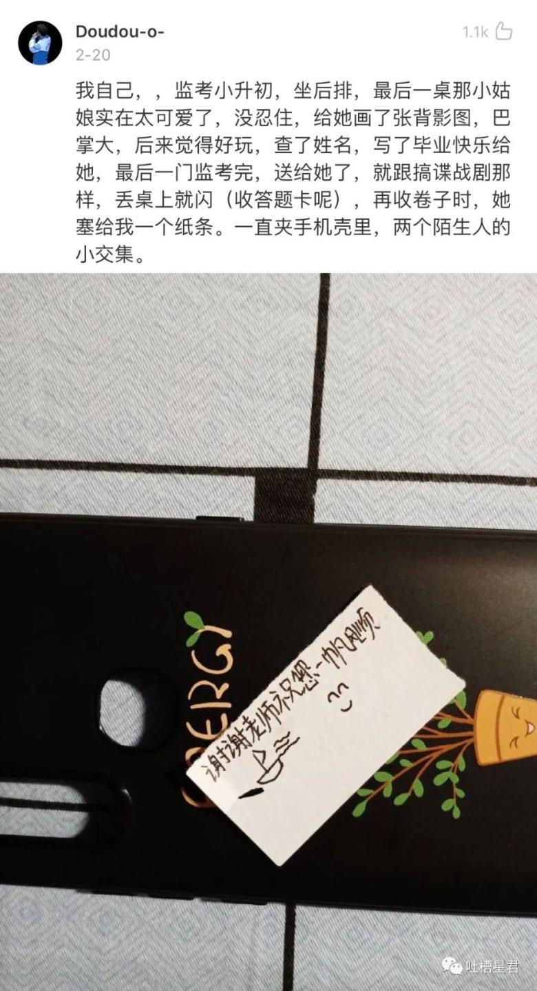 金刚鹦鹉逃生