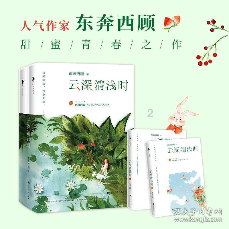 老妇人营救