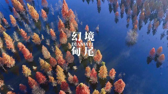 注浆液灌装机-200升单头极速灌装机