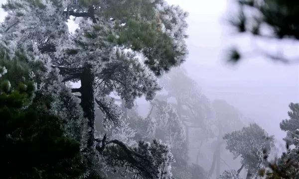 我被男神问候了