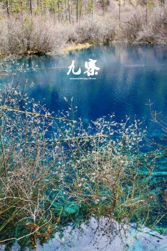 温泉之旅时尚穿搭技巧:白色吊带背心简约又高雅 穿出气质淑女风