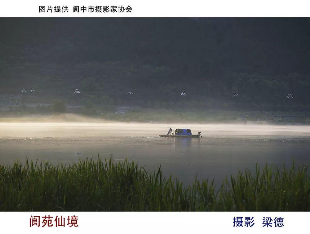 逗小猴开心系列168