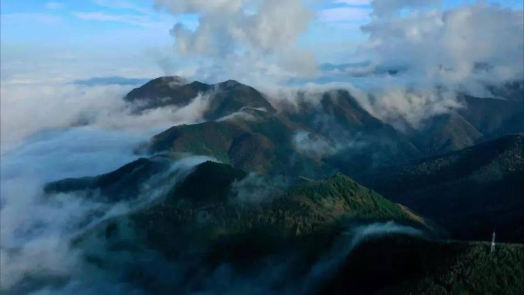 天堂契约