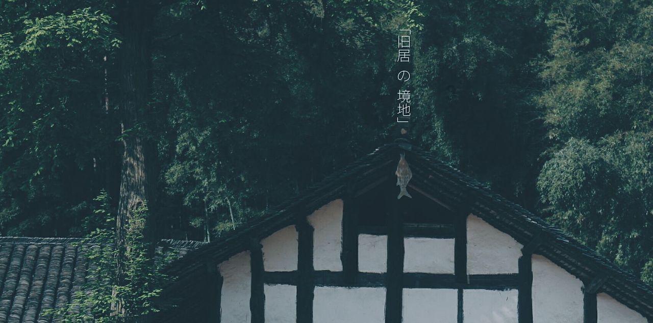 狐狸的旅程