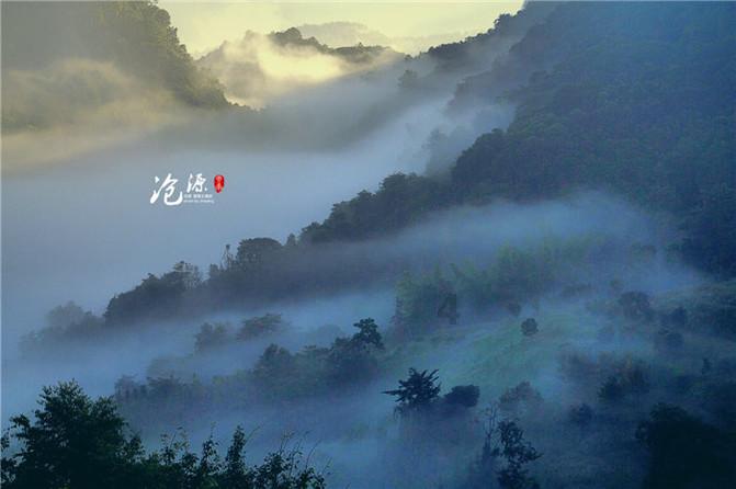 月光影视