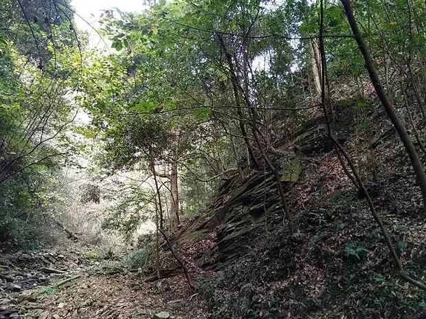 罗马vs萨勒尼塔纳首发：迪巴拉、卢卡库先发，沙拉维、博维出战