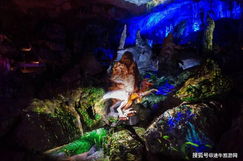 探寻奇趣冷知识的英国本地留学机构平台