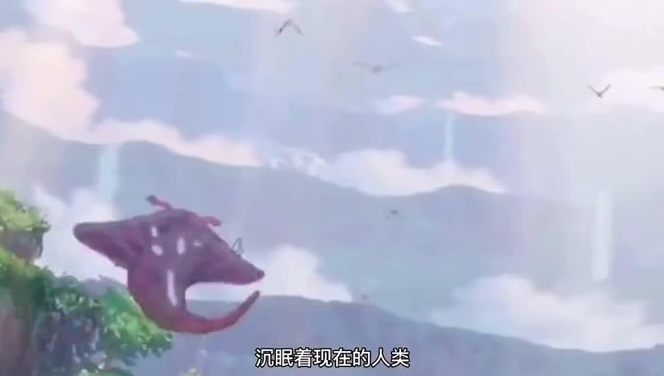 海盗的寻宝之旅