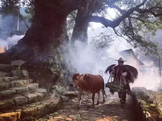 球球大作战下载最新版
