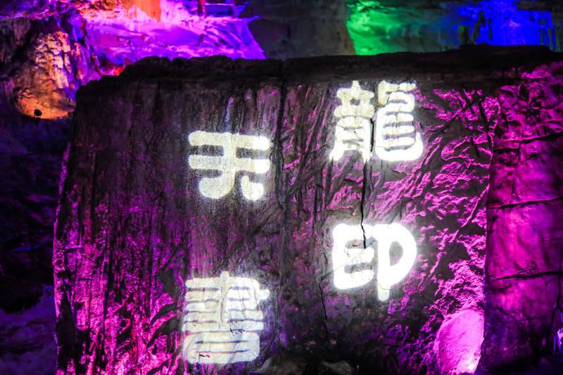 拯救枯树