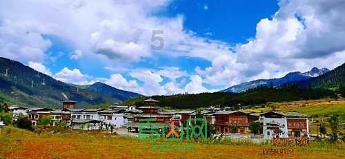 逃出林中村