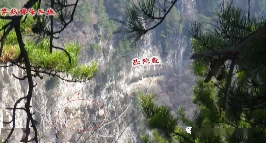 怎么样除去果树树干内的蛀虫啊？求详细方法游戏画面