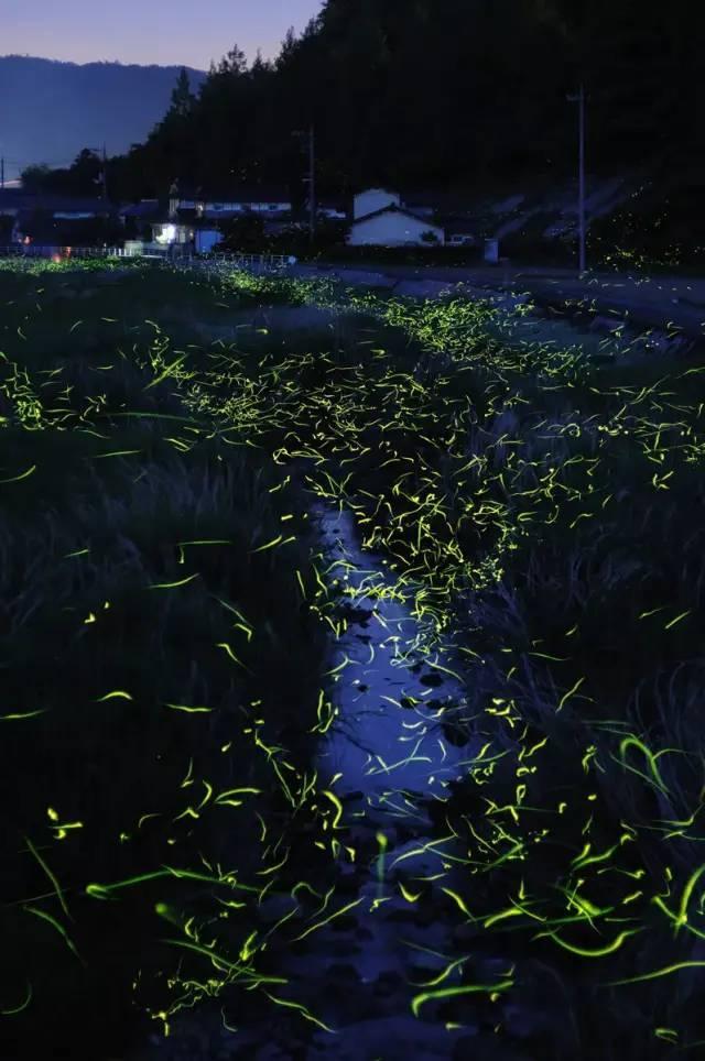 HPV感染率呈现“双峰”分布登热搜,到底几岁接种HPV疫苗最好?