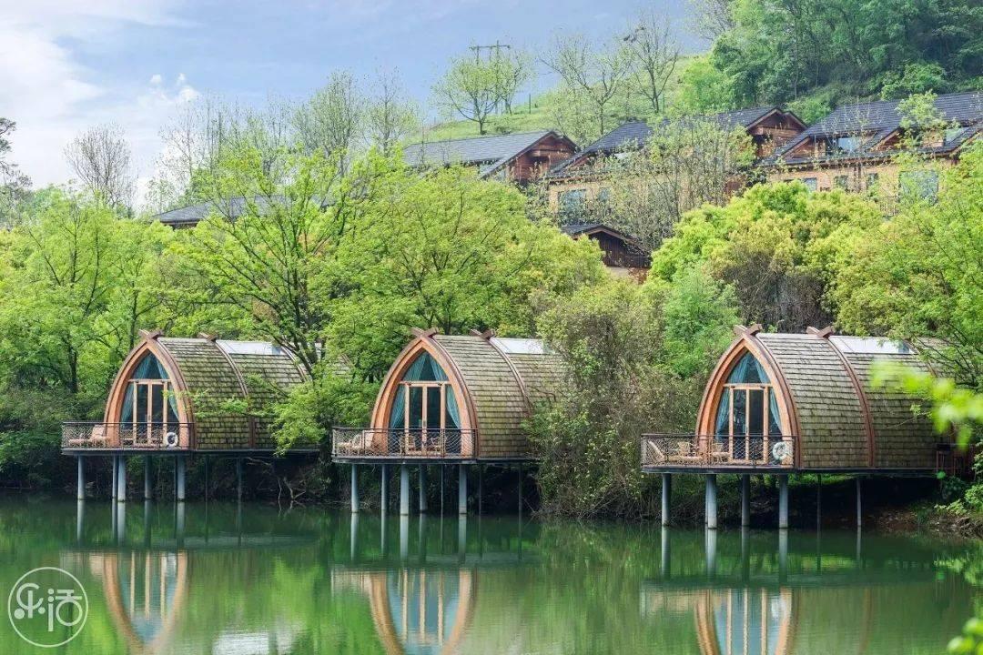 历时15天!“00后”大学生从上海坐公交出发抵达漠河北极村