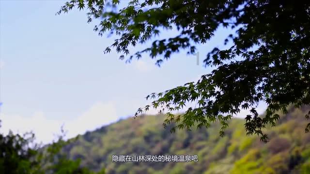 网球公开赛