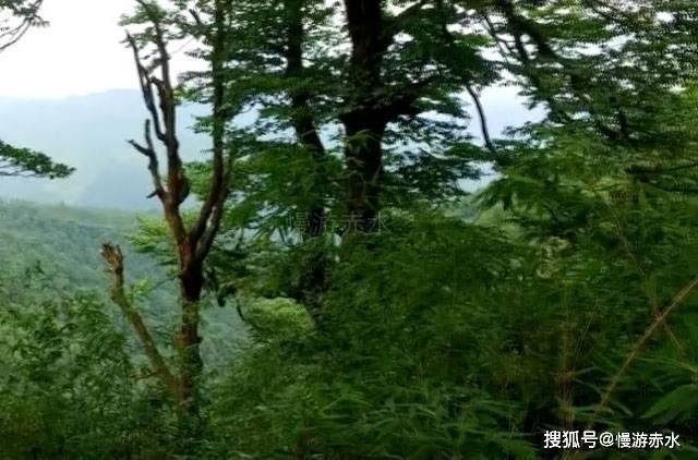 丧尸围城3
