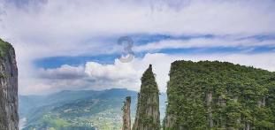 泡泡袖夏装