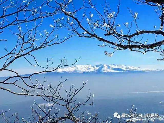 中指和食指夹笔如何旋转?- 冷知识分享平台, 独特的知识乐趣尽在中指和食指夹笔如何旋转?