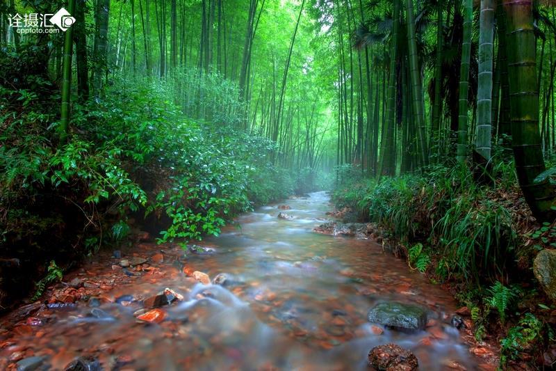 河南洛阳：非遗中医药进校园 传承国粹助成长