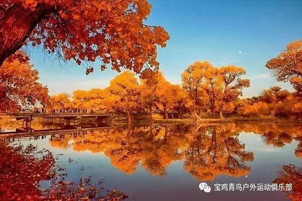 电脑怎么看抖音后台直播数据