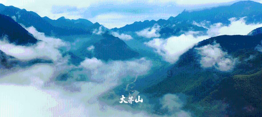 2023年宁夏城乡居民医保集中征缴比上年增收1.98亿元