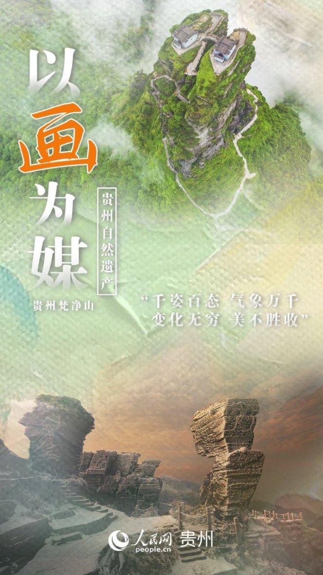 森林鸽营救
