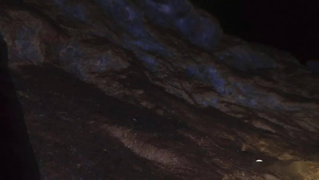 大足:医务人员献热血为寒冬增添温暖
