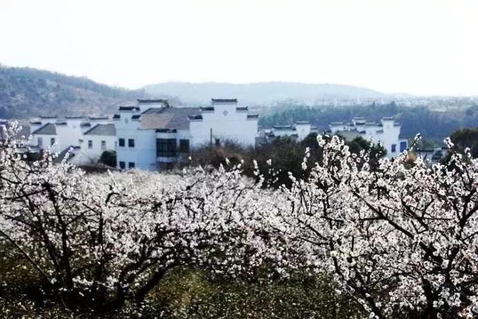 杰茜的欢乐时光