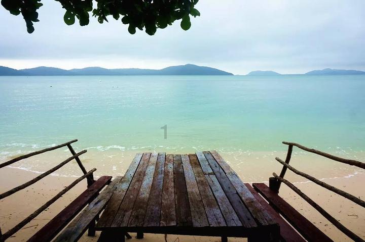 让“志愿红”成为沈城寒冬里一道最美的风景