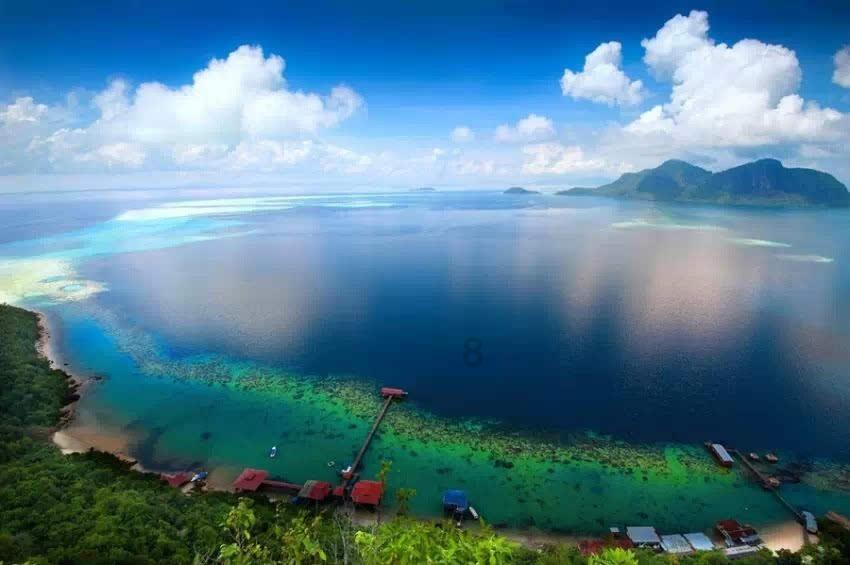 营救小乌龟