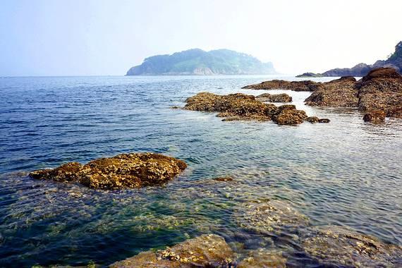 如何有效防控阿尔茨海默病