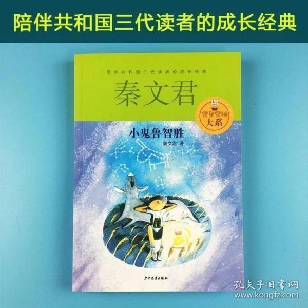 美人鱼游玩