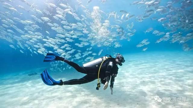 首个草鱼肠道微生物基因目录建成