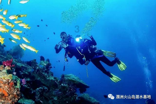 大遗址森林逃生