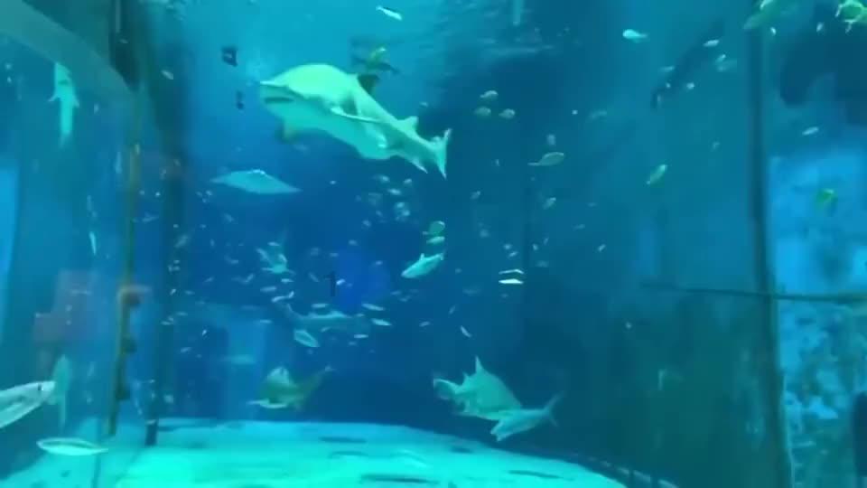 救援水管工