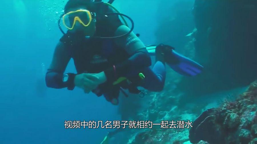 我的老师是偶像