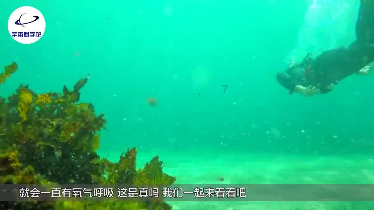 青蛙魔术师