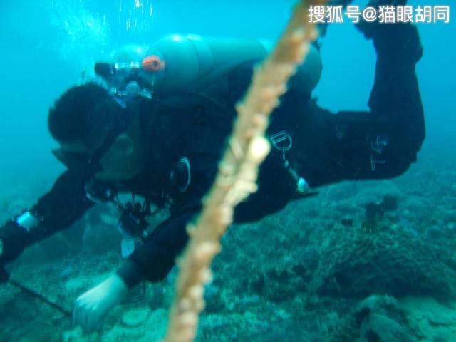 探索专业知识,尽在古风昵称二字问答平台