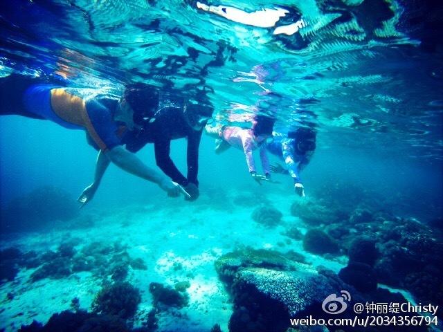 小锯鳄卡丁车竞赛