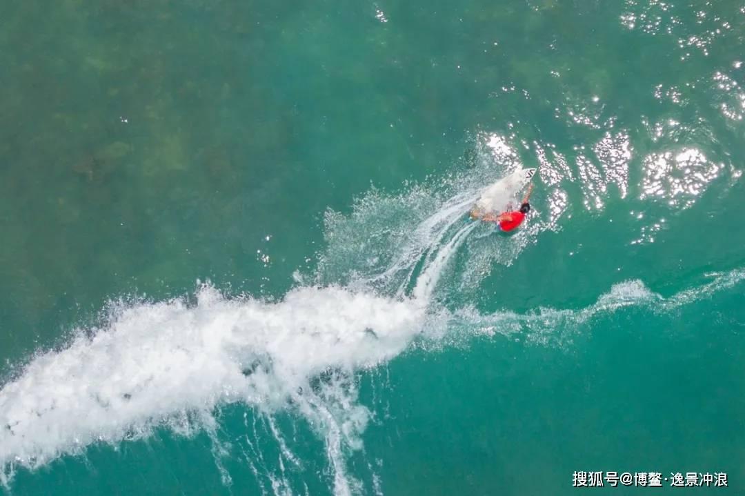 忍者鲨鱼