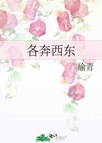 测试你的桃花运