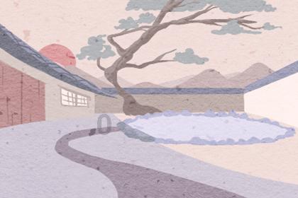 创作猫