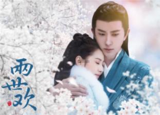 五彩鹦鹉救援
