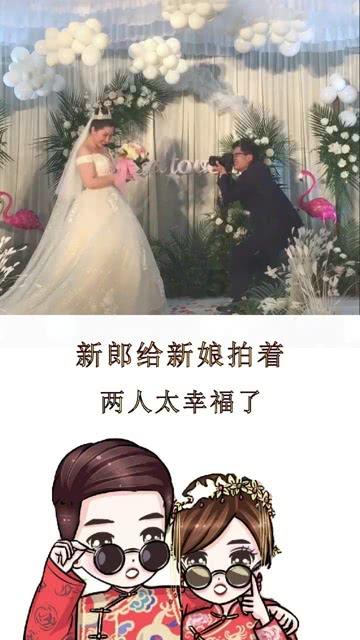 幼崽救援行动选关版