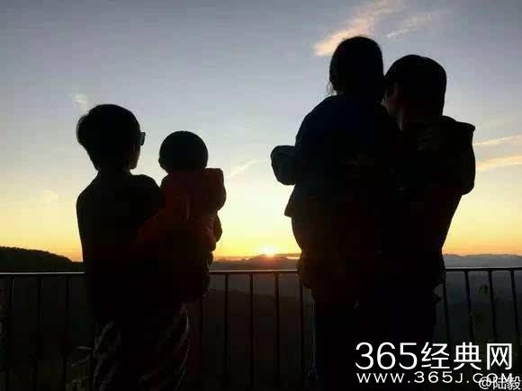 萝卜干怎么做游戏画面