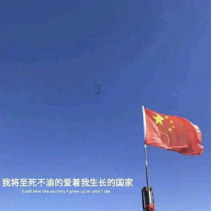学习插花艺术