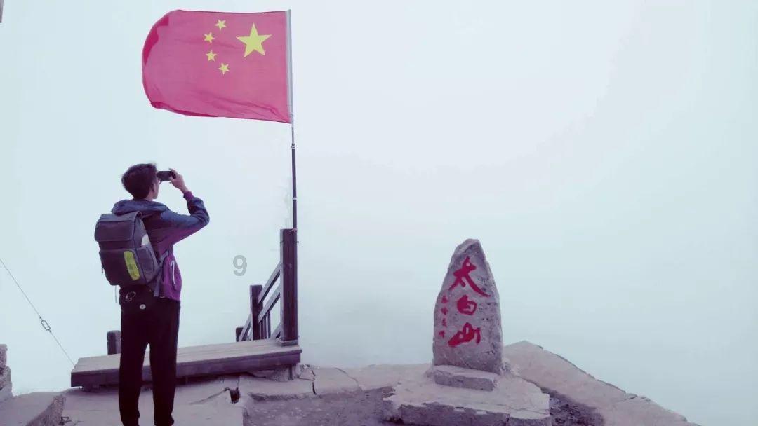 解救可爱的鸭子