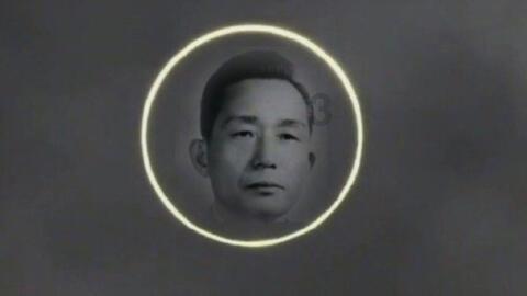 大山羔羊逃生