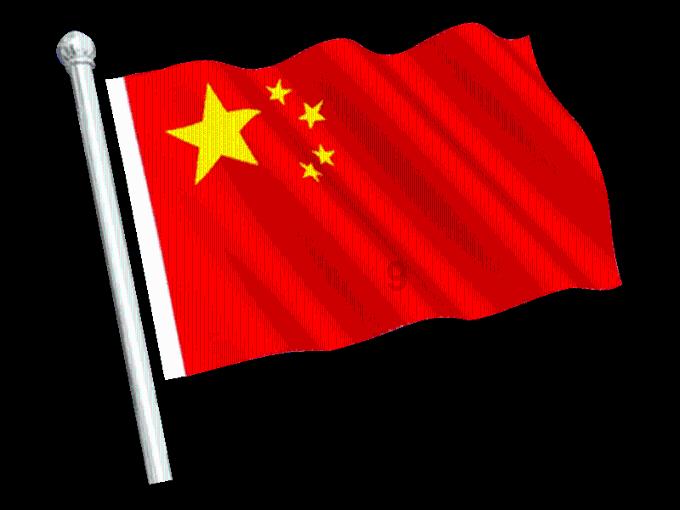 苏菲亚的休闲装